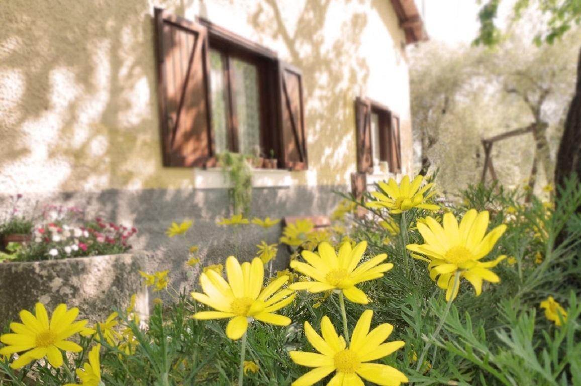 Agriturismo Macchiapiede サーラ・コンシリーナ エクステリア 写真